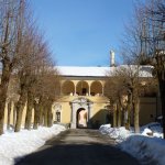 Viale di accesso alla Certosa 